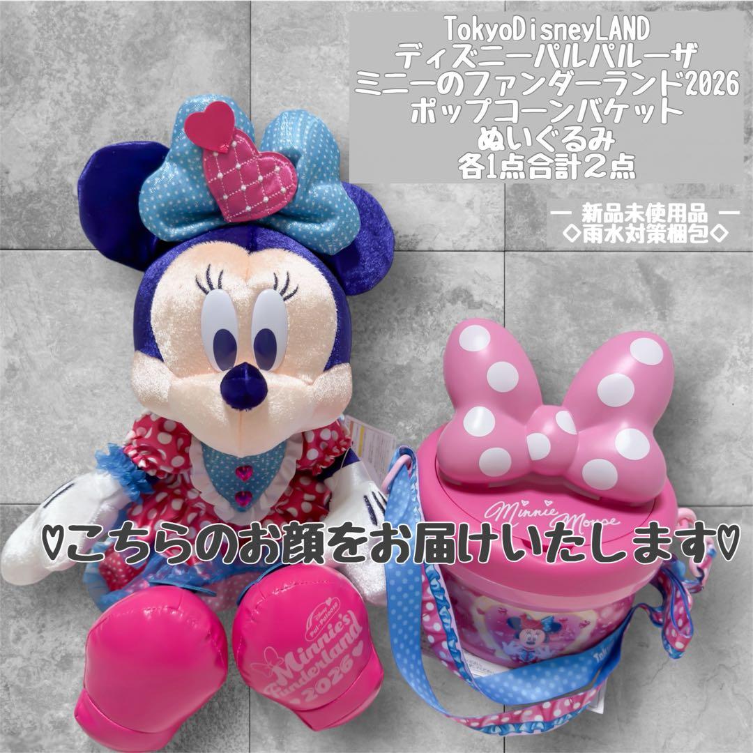 ラスト1セット！ディズニー パルパルーザ ミニー ポップコーンバケット