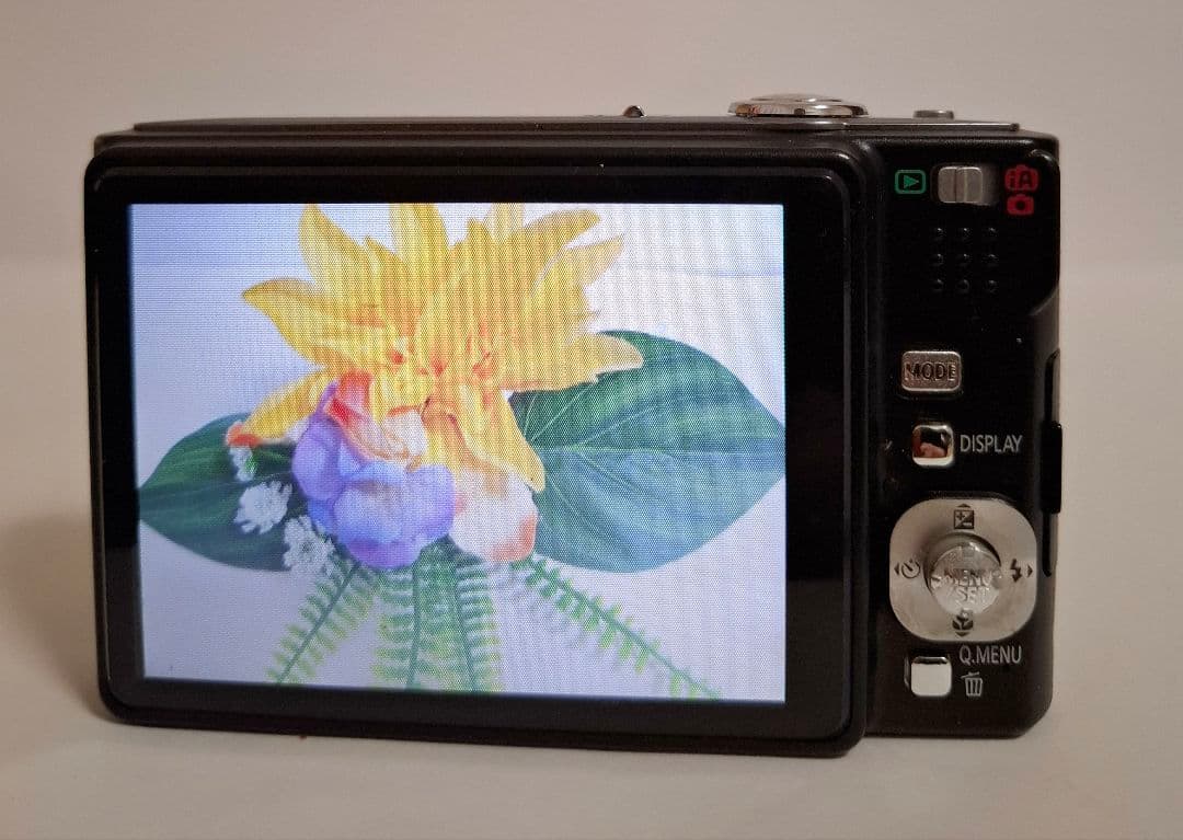 パナソニック Panasonic LUMIX DMC-FS20 デジタルカメラ