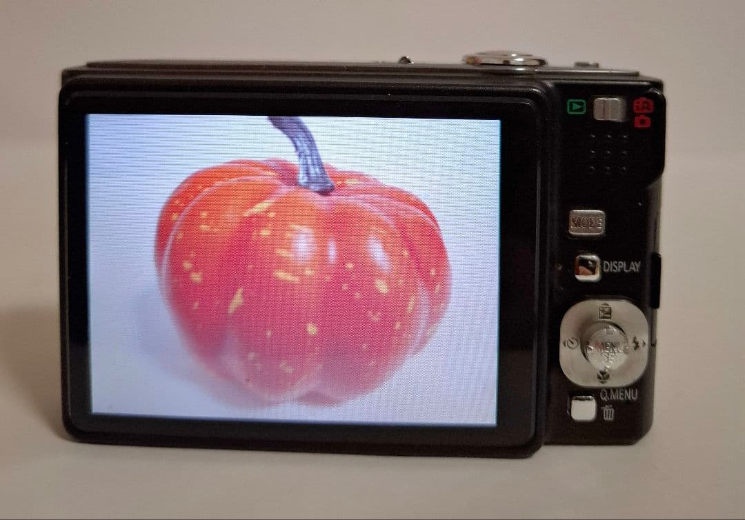 パナソニック Panasonic LUMIX DMC-FS20 デジタルカメラ