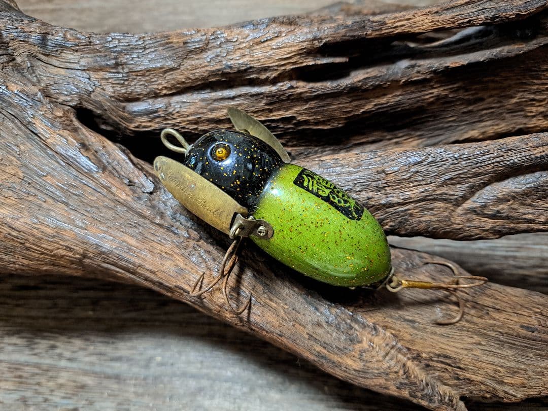 道楽　DOWLUCK　ドウラク　アブラゼミ　ワームカラー