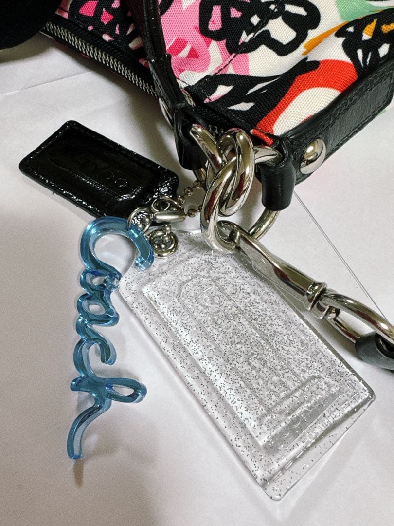 coachアクセサリーポーチ ワンショルダー グラフィック y2k