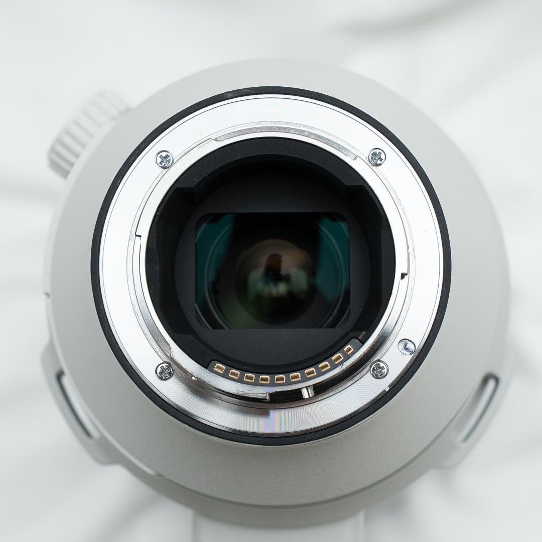 【望遠ズームレンズ】SEL200600G / SONY