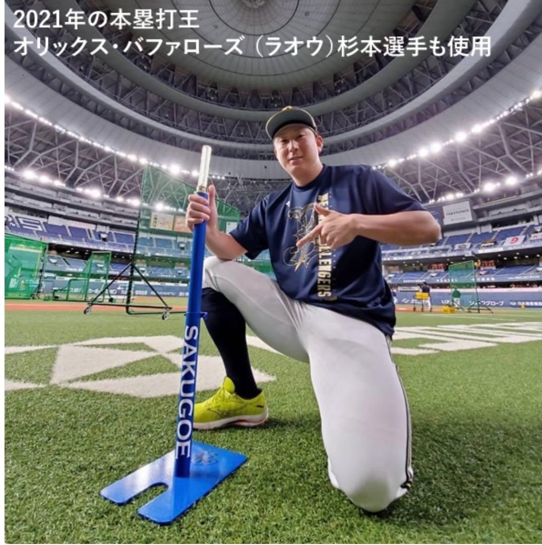 SAKUGOE サクゴエ PUT式 ティースタンド 組み立て式 ver.12