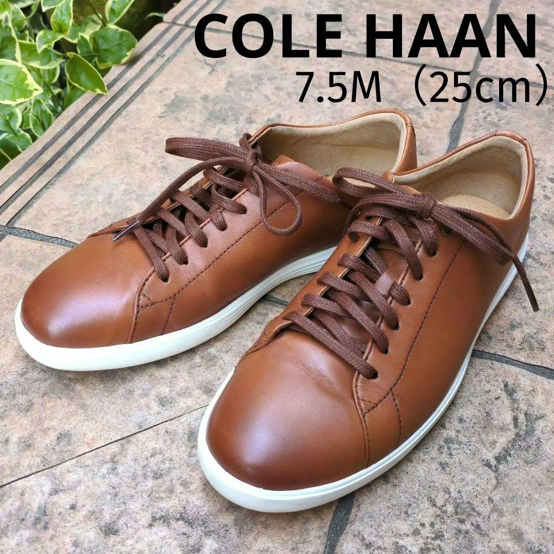 COLE HAAN レザー スニーカー ブラウン メンズ コールハーン - メルカリ