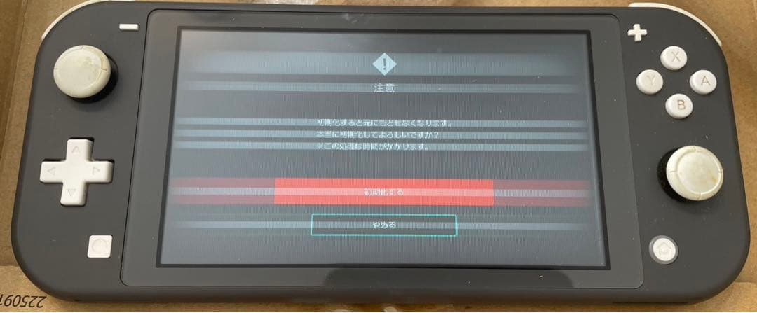 任天堂スイッチライト グレー　画面に難あり