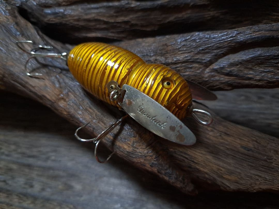 道楽　DOWLUCK　ドウラク　アブラゼミ　研出し