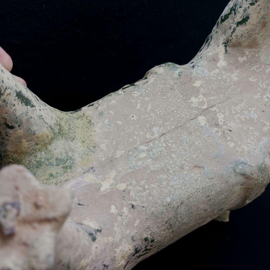 Y2952-1 中国 漢代 緑釉犬 置物 高さ34㎝の通販｜www.myxop.com