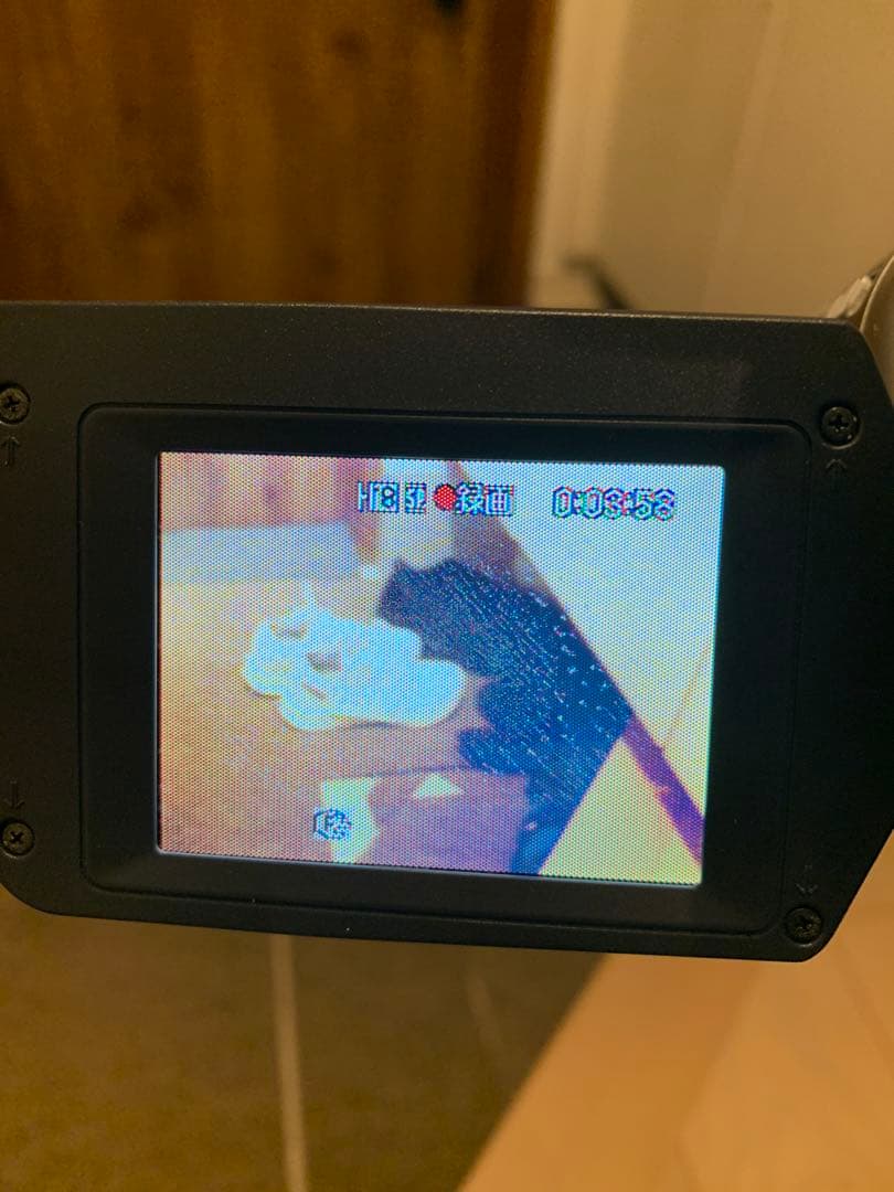 ビデオカメラ Sony Handycam video Hi8 240x CCD-Trv106