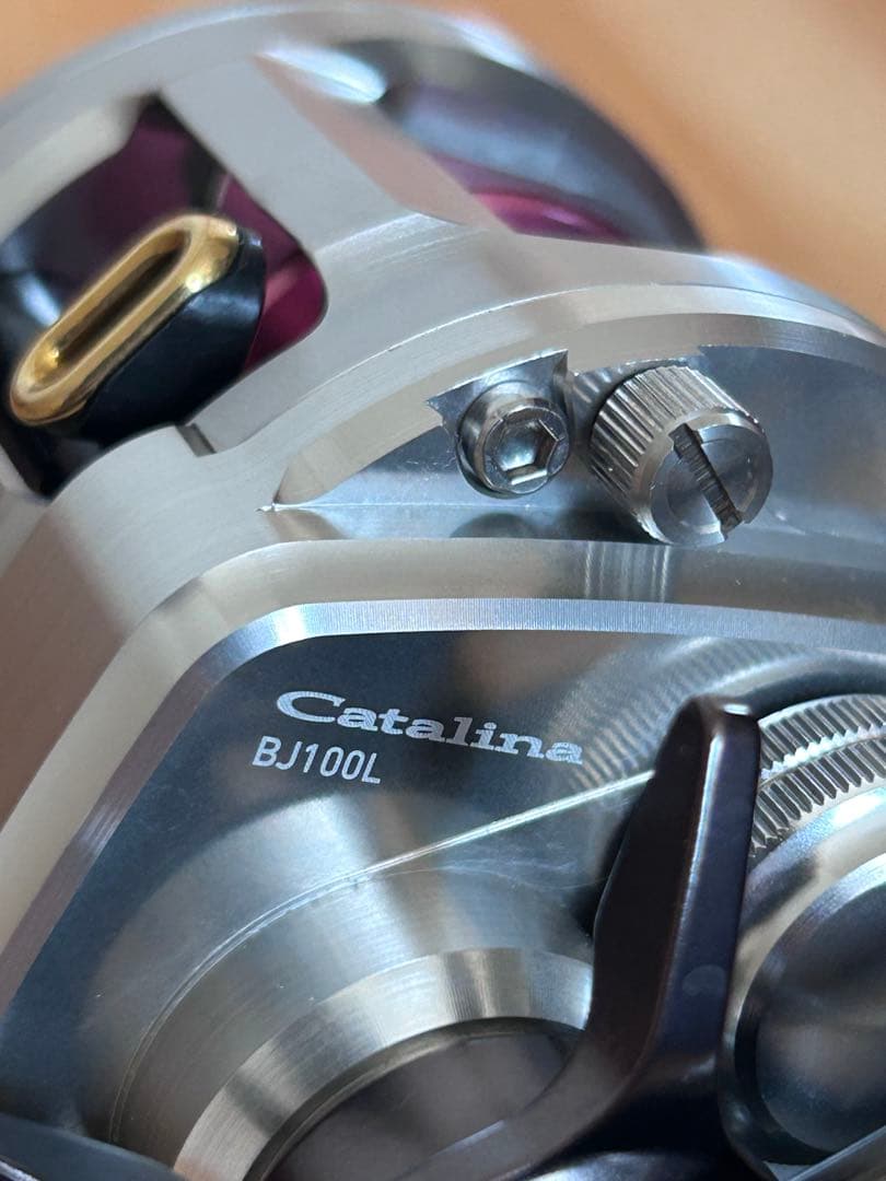 ダイワ　キャタリナBJ100L