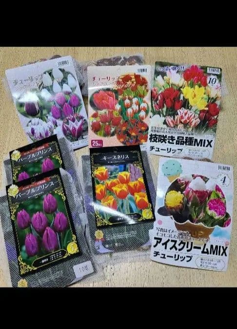 球根セット ①②③④ あずき様