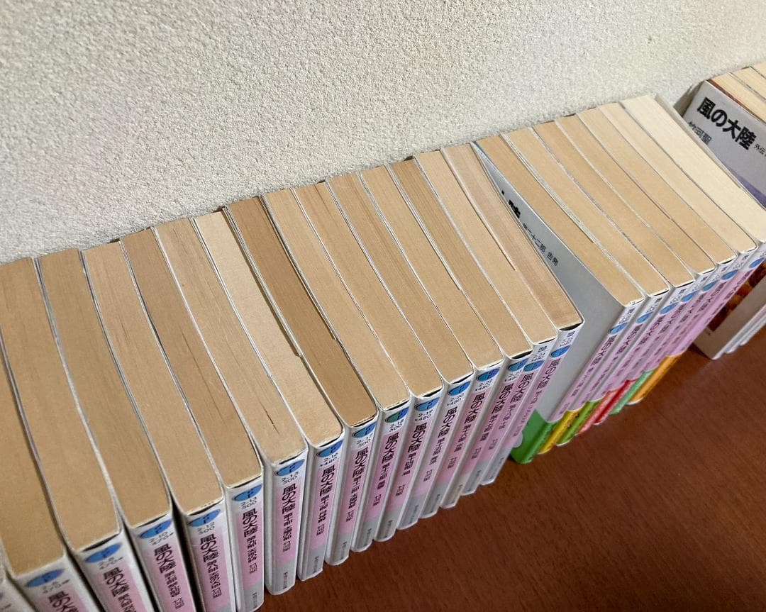 風の大陸 1～19，22～28巻 外伝4冊 竹河聖 絵・いのまたむつみ 橋本