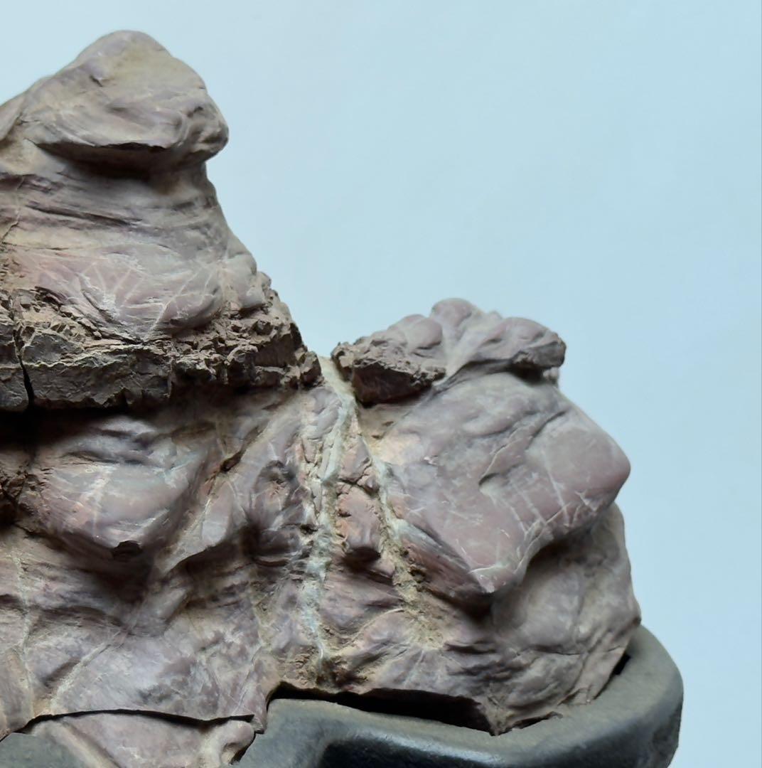 天然石 水石 紫色と茶色の岩