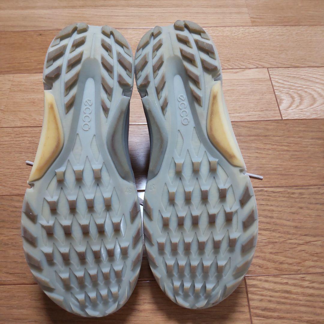 エコー　バイオム　ハイブリッド4 23.5cm ecco BIOM レディース