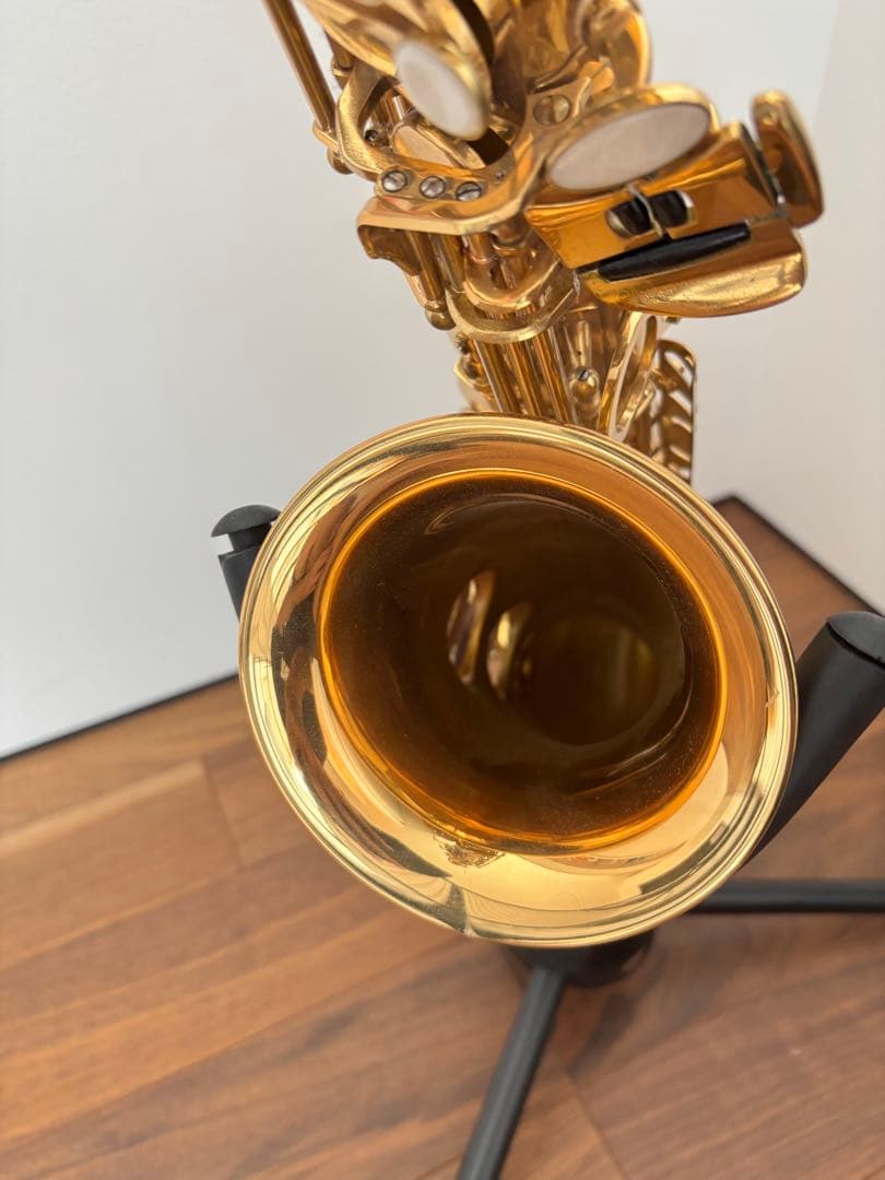 アルトサックス Soleil 管楽器(スタンドは含まない) アルトサックス