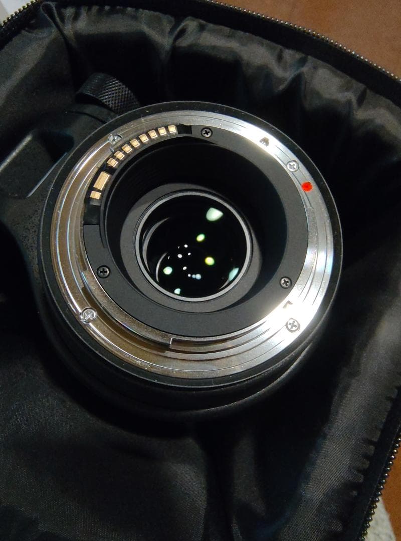 SIGMA 150-600mm F5-6.3 DG OS HSM【キヤノンEF】