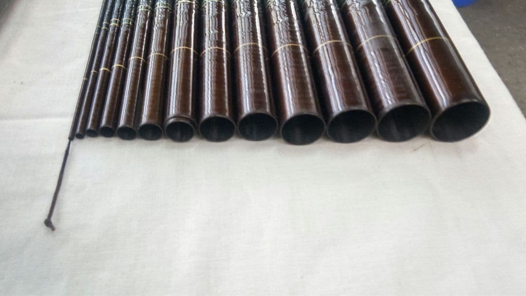 ダイワ　カーボウイスカー早蕨硬調53 &華厳中硬53　2本セット　良品