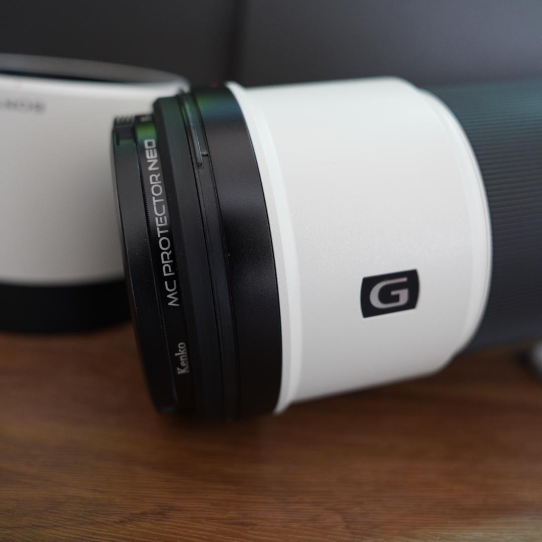 レンズ(ズーム) SONY SEL200600G