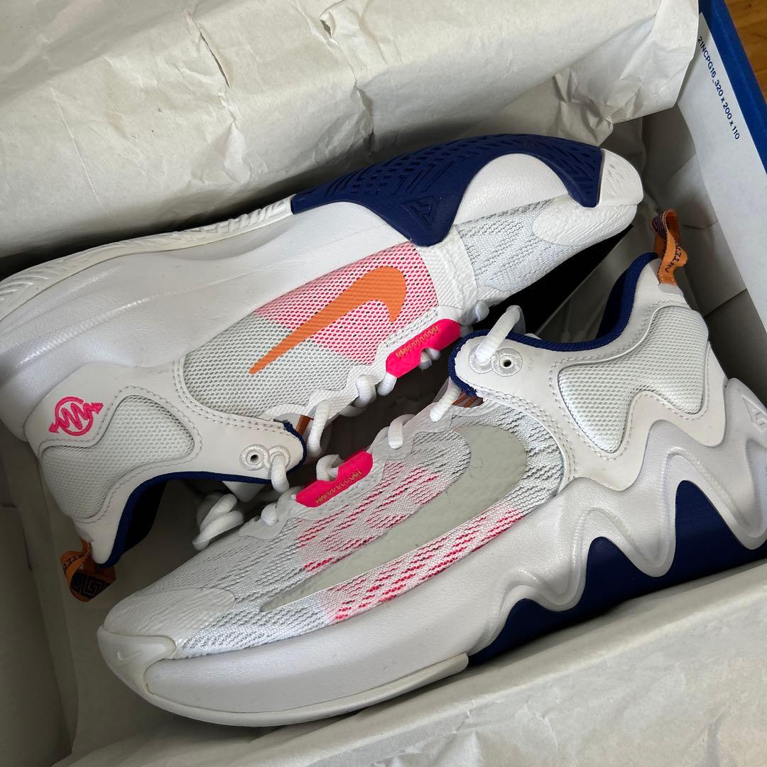 NIKE Giannis Immortality 2 24.5cm 新品未使用