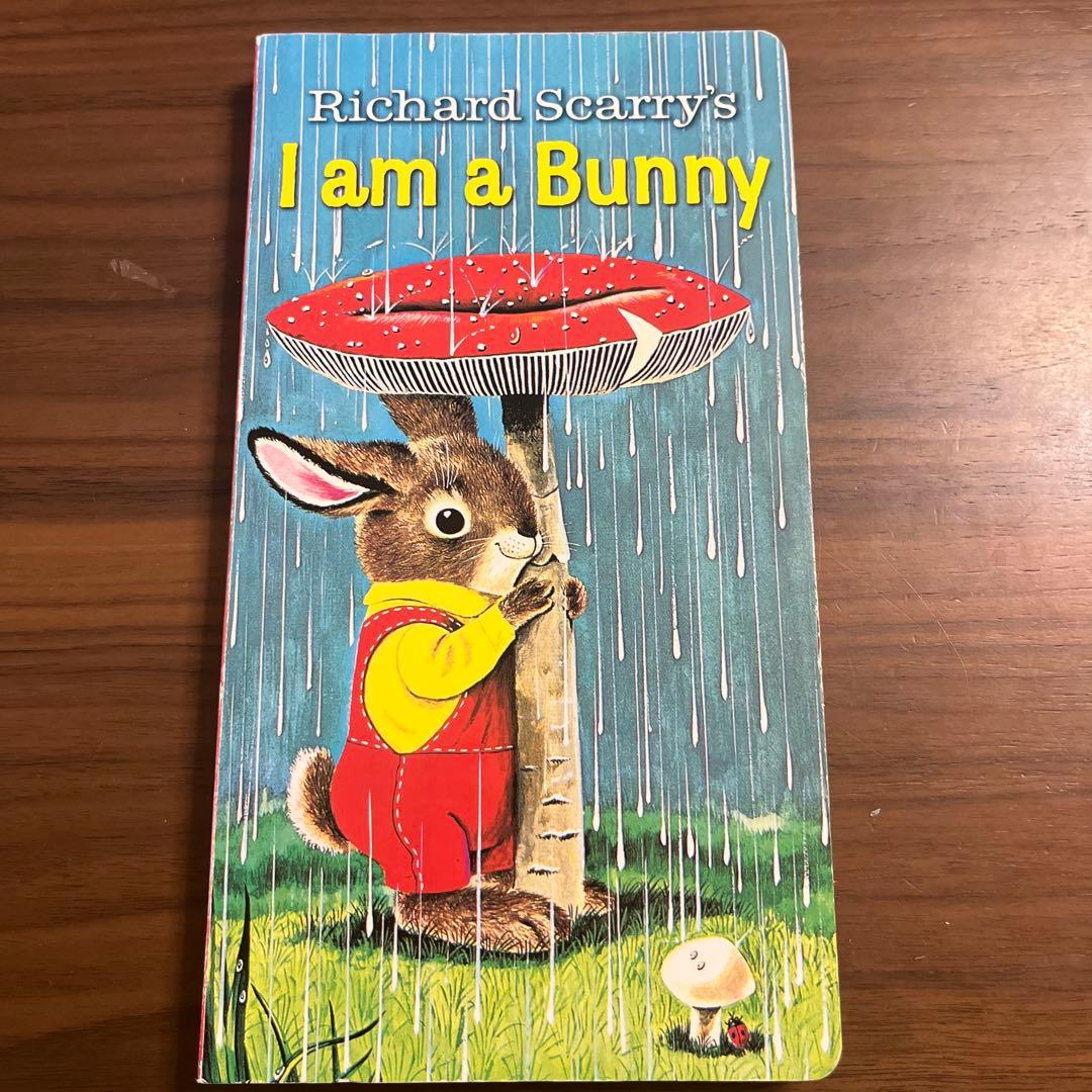 英語絵本12冊セット：I Am a Bunny, Dear Zoo など