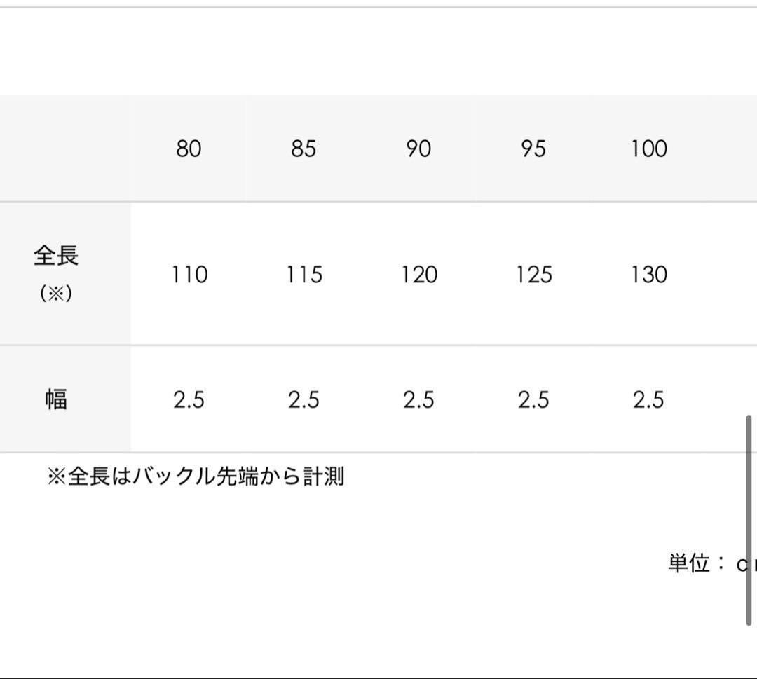 定価69,300円 THE SOLE プンターレベルト クロコダイル サイズ95