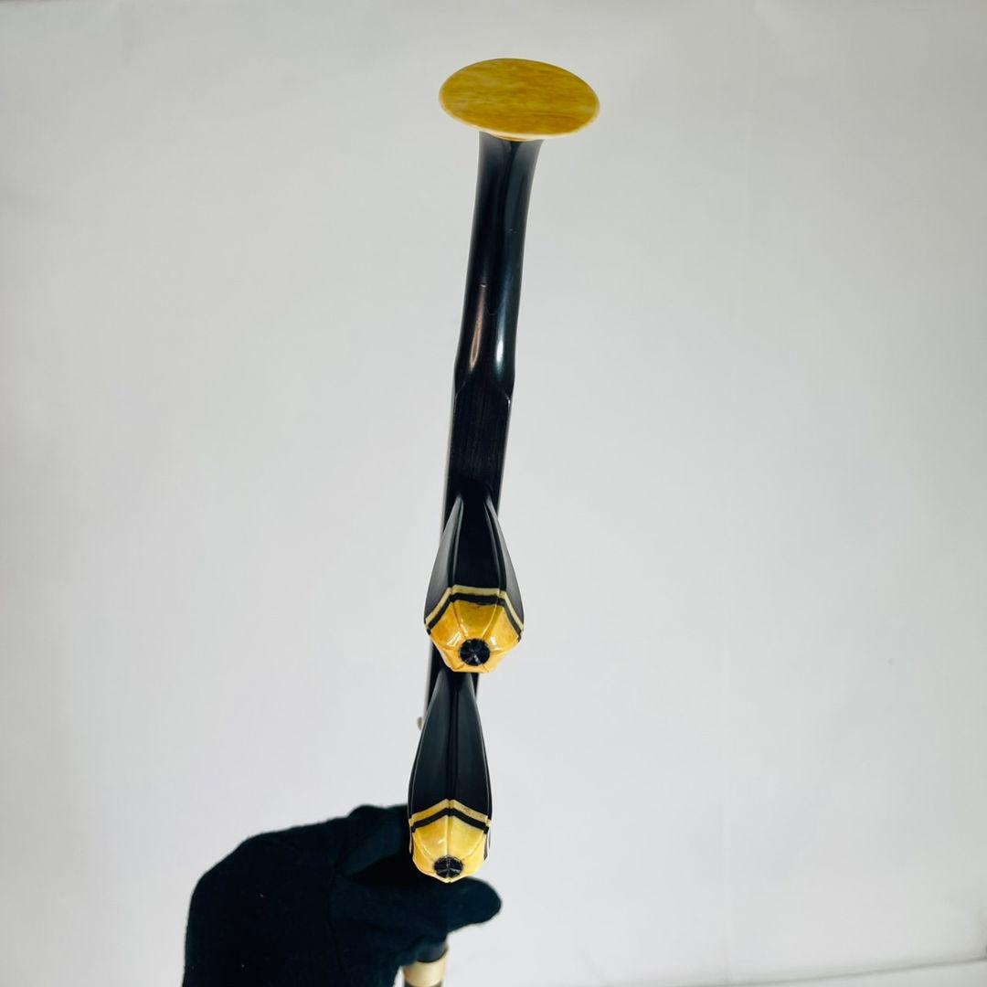 保証書付き】 二胡 ケース付 本蛇皮製 YMHER30