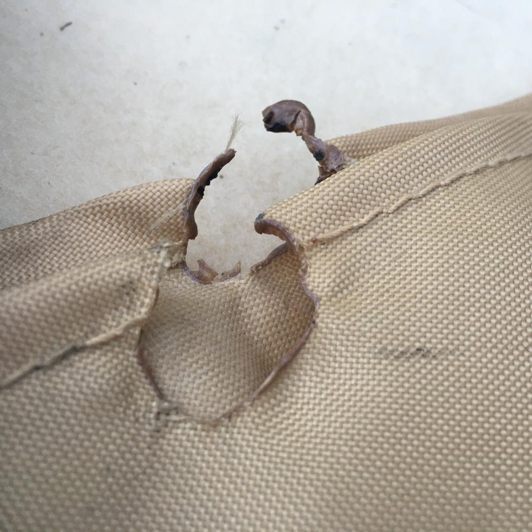 ☆スノーピーク 焚火台L スターターセット グリルブリッジ/火ばさみ/ケース付き