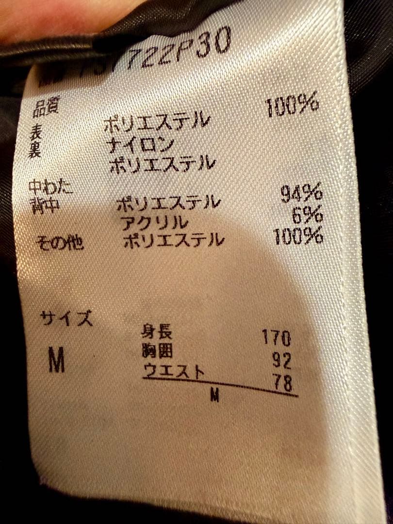 Phenix スキー/スノボウェア メンズM