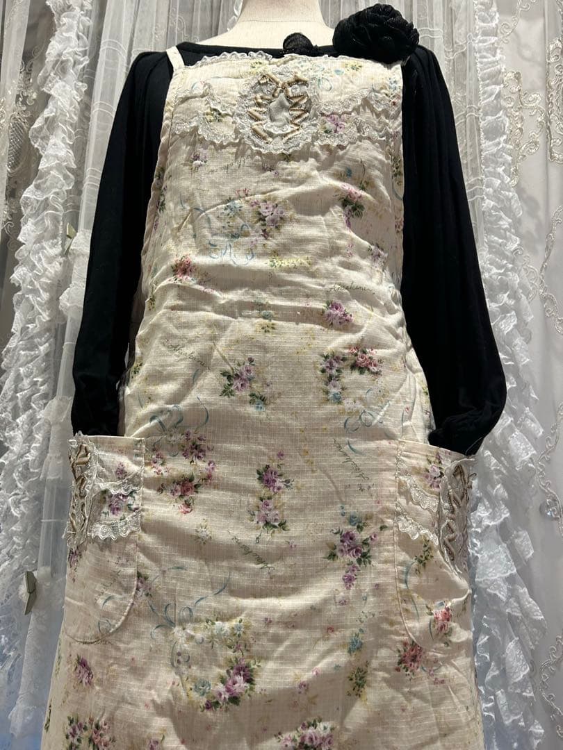 2026年最新】さえら 未使用さえらアキアカネ裏表リバーシブル☆レア