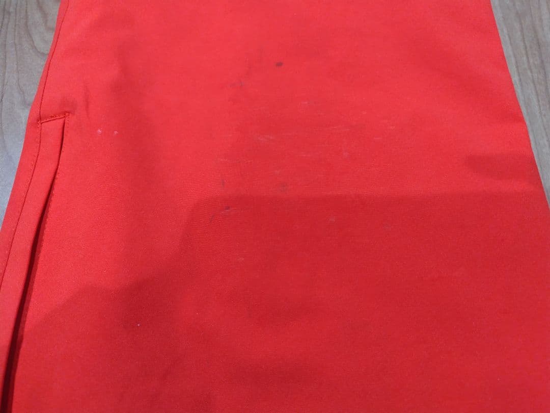 Phenixフェニックス⭐メンズ　スキーウェア パンツ Lサイズ 非売品色