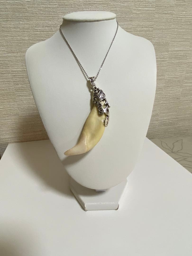 熊牙 熊歯 熊の牙 ツキノワグマ牙 ネックレス キーホルダー 新作新品