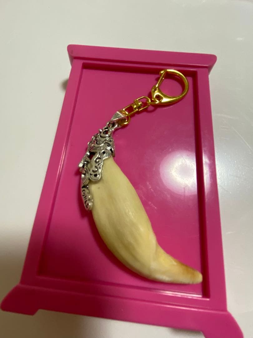 熊牙 熊歯 熊の牙 ツキノワグマ牙 ネックレス キーホルダー 新作新品