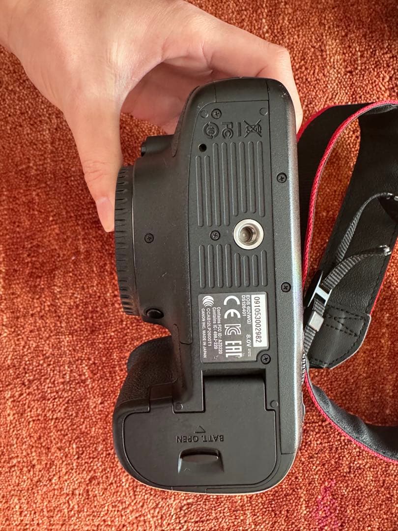 Canon EOS 6D 単焦点レンズ50mm、望遠レンズ70-300mm 付き