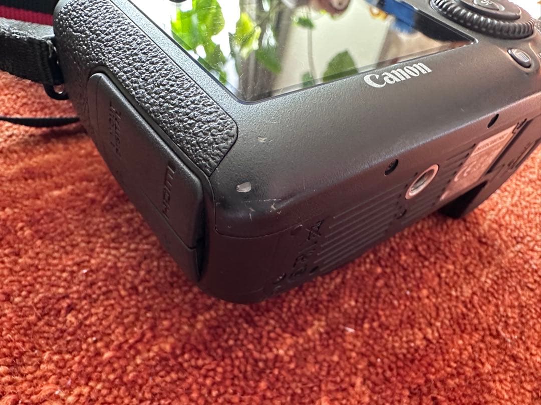 Canon EOS 6D 単焦点レンズ50mm、望遠レンズ70-300mm 付き