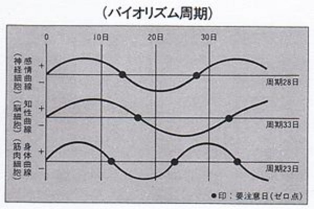 【限定残り1個！】政木式　バイオリズム計　赤　工学博士　政木和三　占い　運勢