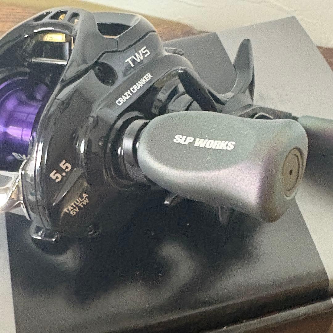 リール DAIWA SLPWORKS TATULA SV TW5.5R-CC R