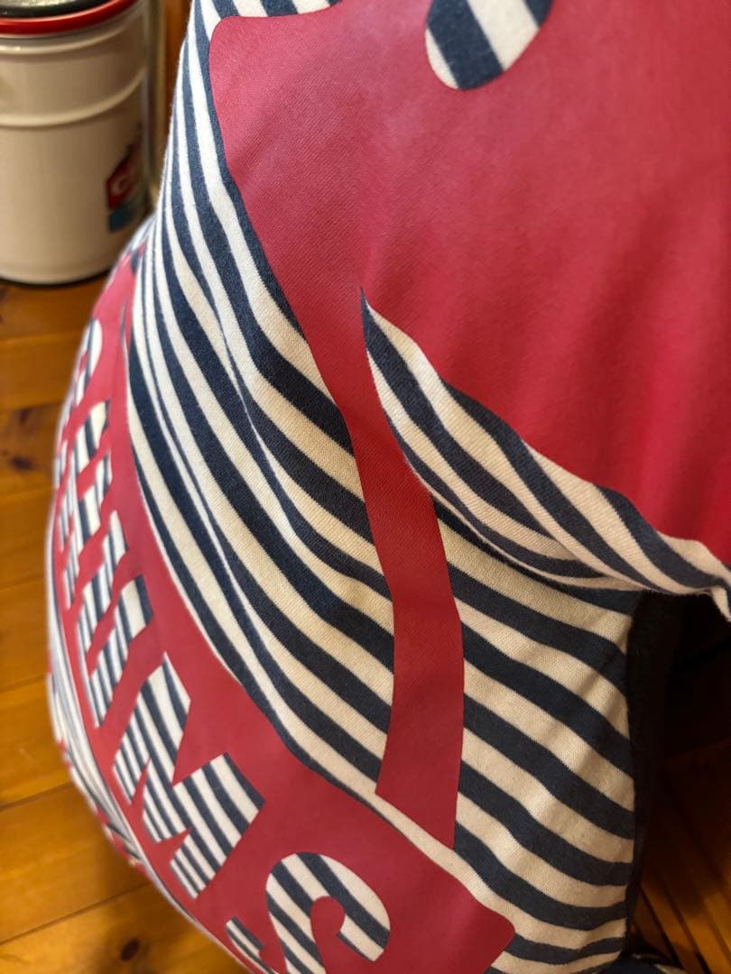 チャムスジャイアントブービークッション