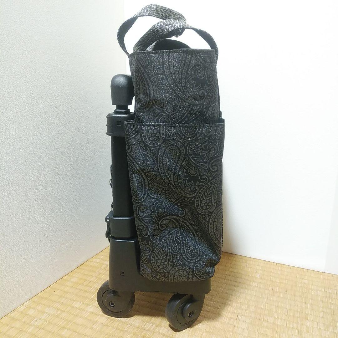 ほぼ新品・SWANY スワニー ペイズリー柄 キャリー