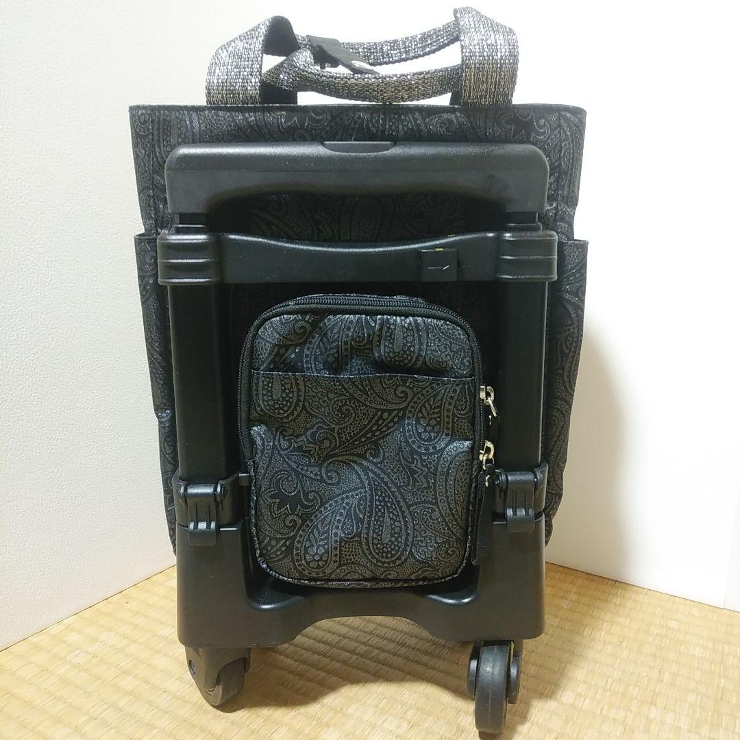 ほぼ新品・SWANY スワニー ペイズリー柄 キャリー