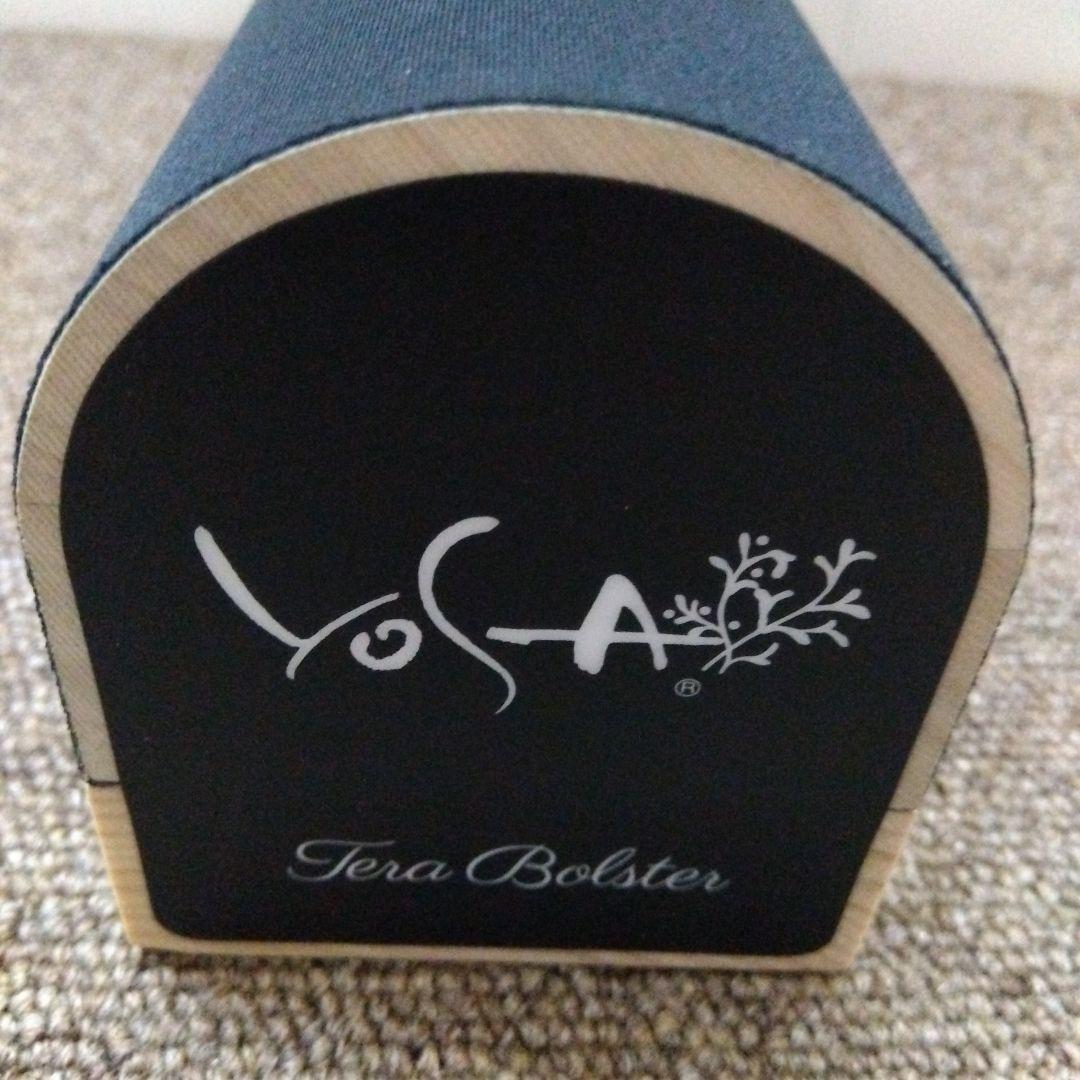 オンライン で 販売ダイエット・健康 - YOSAカーリスマット • チタン