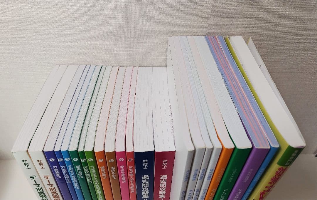 U-CAN 2025年度社会保険労務士テキスト&社労士V労働判例100 第2版他