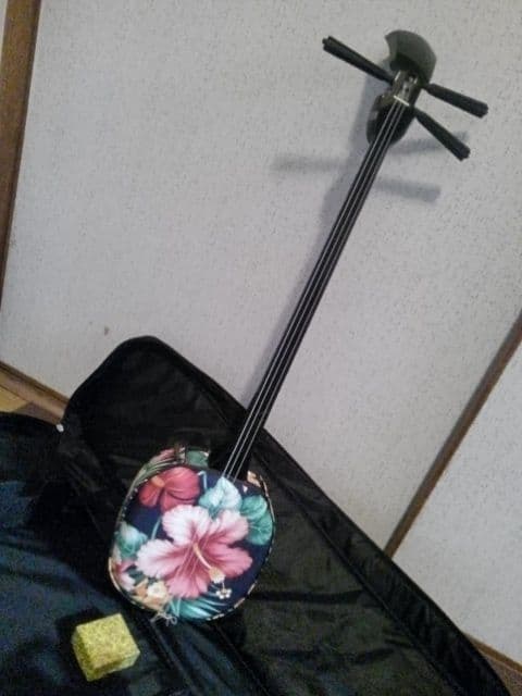 ♪沖縄で買った三線♪超綺麗で♪
