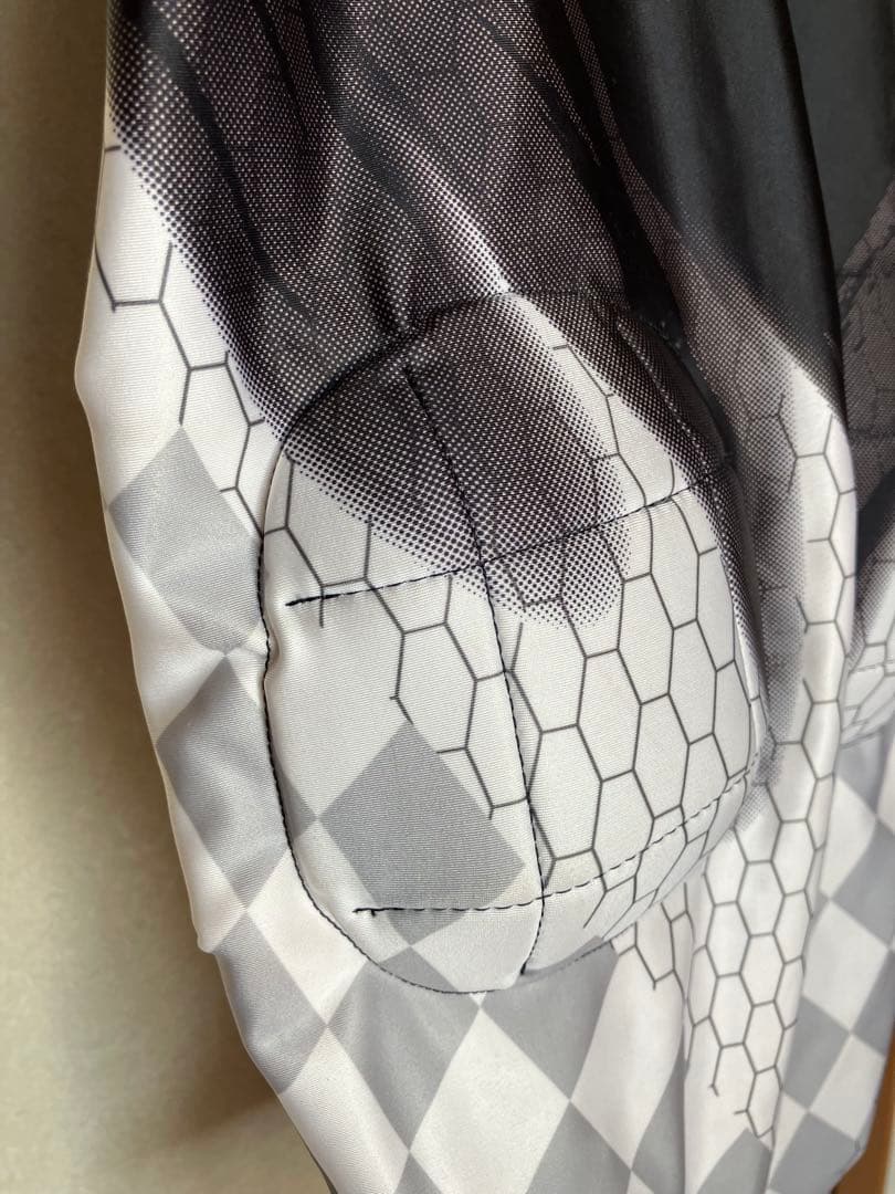 アルペンスキー競技用ワンピース（ミズノ、サイズＬ）