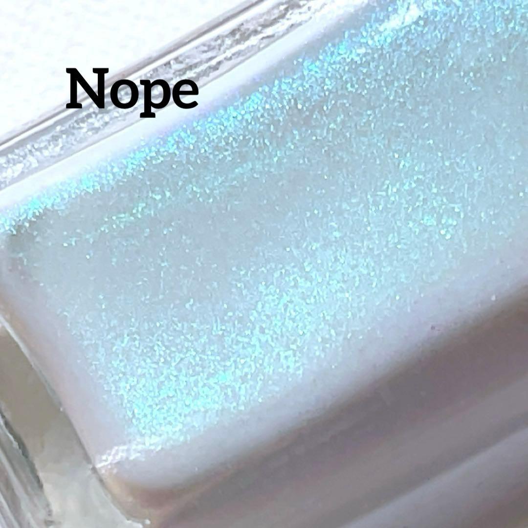 Shleee Polish ネイルポリッシュセット 19本　マニキュア