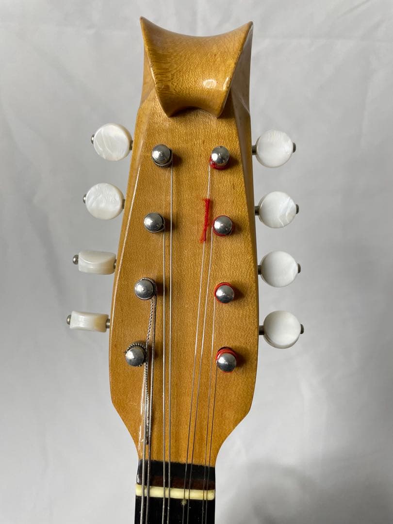 SUZUKI/スズキ クラシックマンドリン M-100