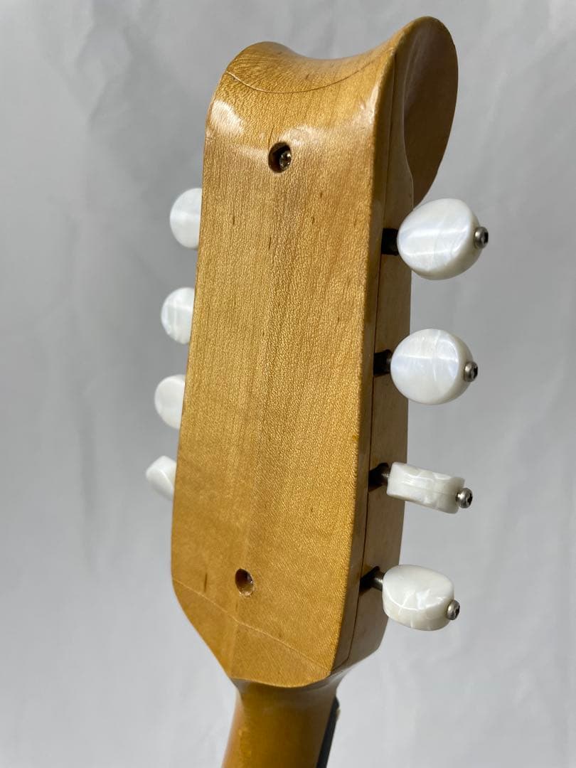 SUZUKI/スズキ クラシックマンドリン M-100