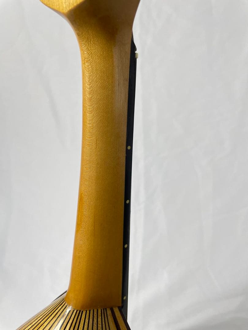 SUZUKI/スズキ クラシックマンドリン M-100