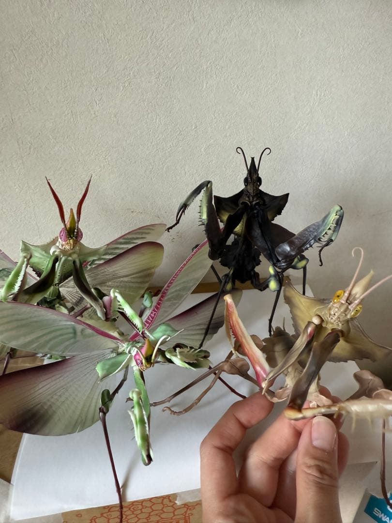 シ*ン様 いきもの大図鑑アドバンス ニセハナマオウカマキリ