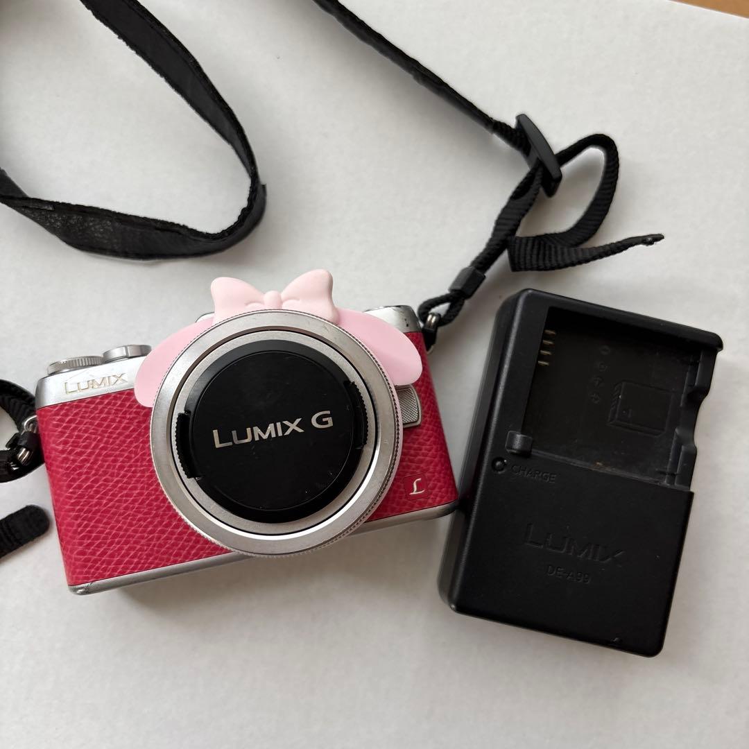 Panasonic LUMIX G ミラーレスカメラ レッド