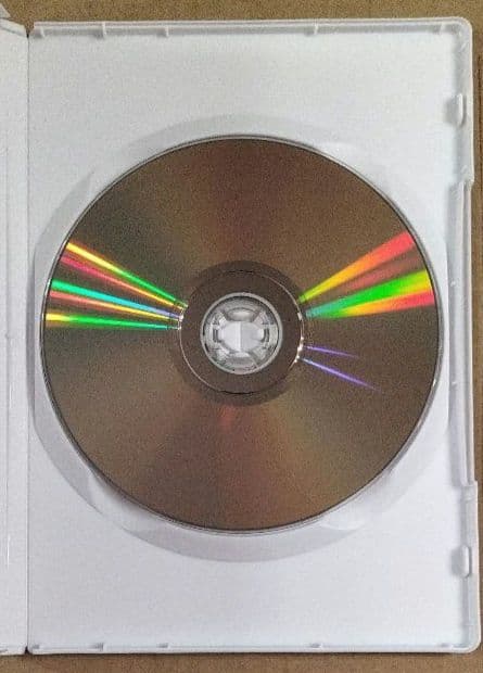 アニメ Vicky Chan