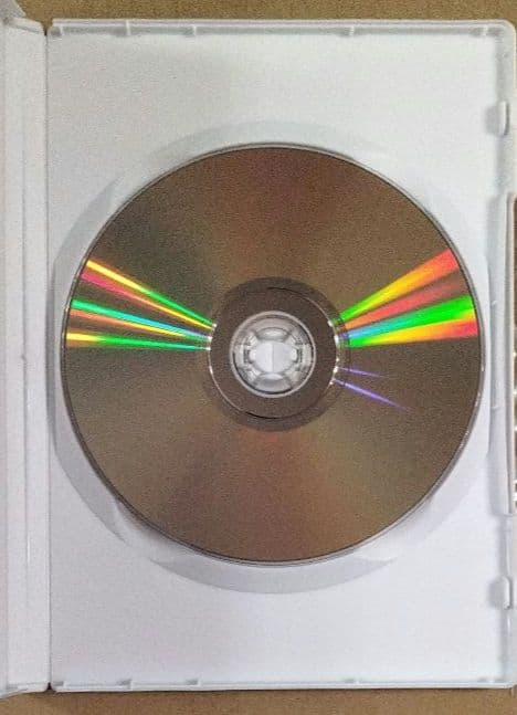 アニメ Vicky Chan